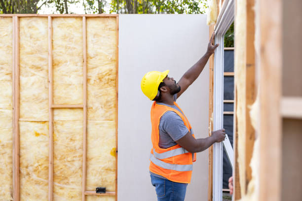 Best Insulation Removal Services  in West Alexandria, OH
